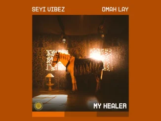 MY HEALER