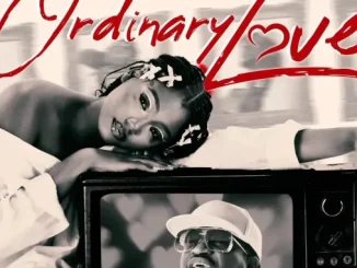 Ordinary love