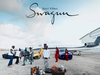 Seyi Vibez SWAGUU Album